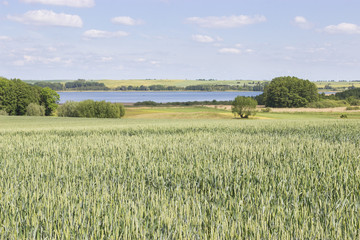 Wall Mural - Kulturlandschaft in der Uckermark