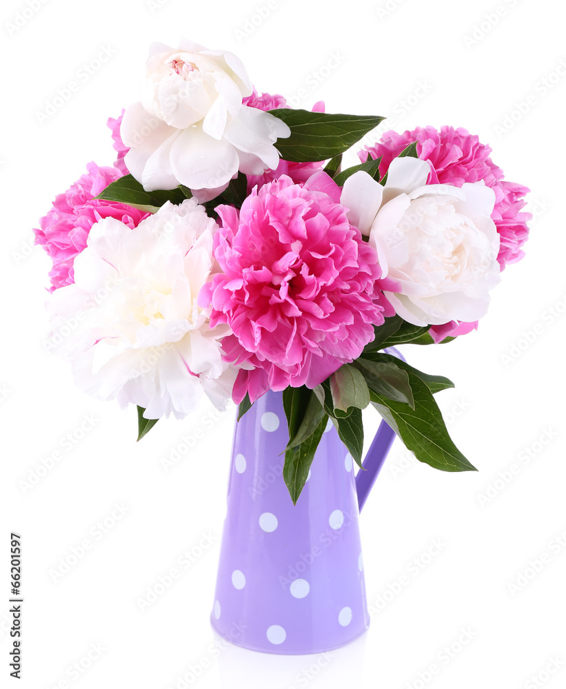 Beautiful pink and white peonies in vase, isolated on white