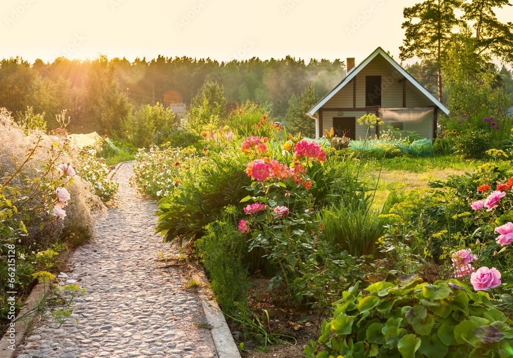 road in the beautiful garden 
