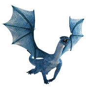 Blue Dragon Flying