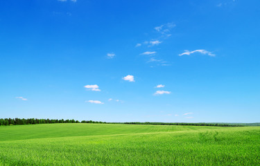 green field