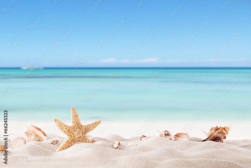 Summer beach with strafish and shells - obrazy, fototapety, plakaty 