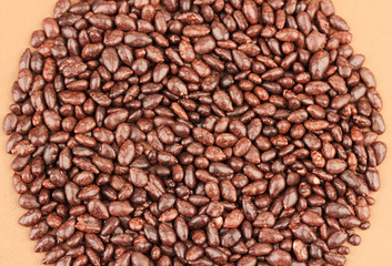 Wall Mural - Sunflower grains in chocolate, on brown background