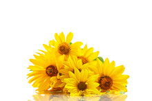 Bunch Of Yellow Daisy Flowers