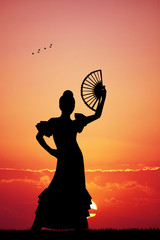 Wall Mural - flamenco at sunset