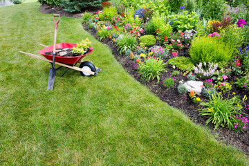 Wall Mural - Garden work being done transplanting celosia