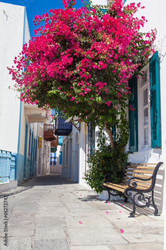 bialo-niebieskie-uliczki-greckiego-miasta-z-rozowymi-kwiatami