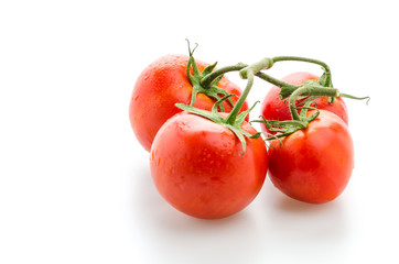 Wall Mural - Tomato isolated on white