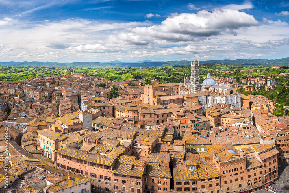 Aerial view of Siena - obrazy, fototapety, plakaty 