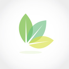 Leaf Icon Vector