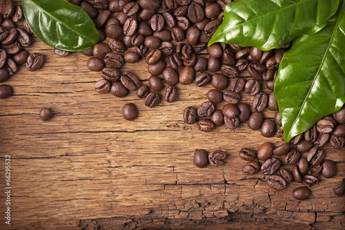 Naklejka na kafelki Coffee beans and green leaves