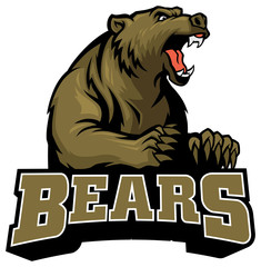Wall Mural - big brown bear mascot
