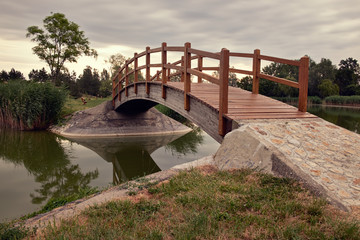 Wall Mural - Bridge in the park