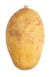 close - up small new and fresh raw potato