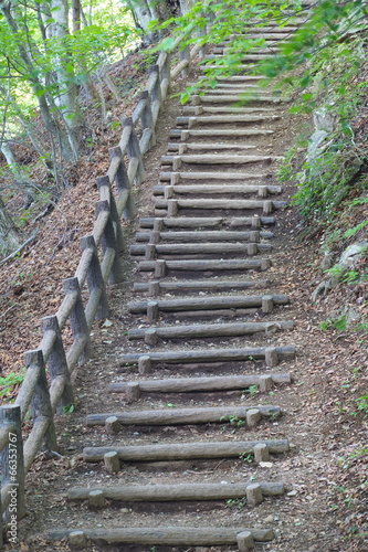 Fototapeta na wymiar Pathway wooden stairs in summer green mountain forest