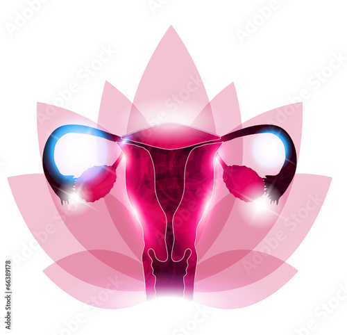 Fotografia, Obraz Female reproductive organs flower at the background