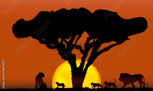 Fotografia, Obraz  lions family