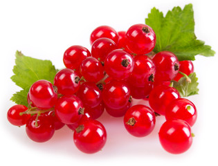 Poster - Red currant