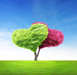 Wall Mural - tree in shape of heart