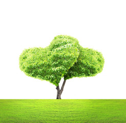 Wall Mural - tree in shape of heart