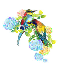 Poster - watercolor beautiful birds and delicate flowers