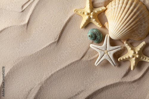 Naklejka na kafelki Summer background - shells on sand