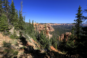 Wall Mural - rainbow Point, Bryce Canyon