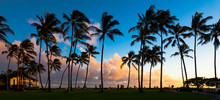 Kauai Island Sunset With Palm Trees