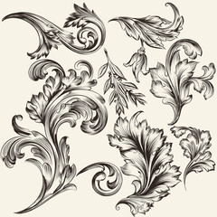 Wall Mural - Collection of vector flourishes