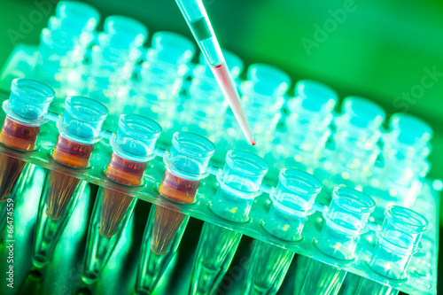Fotografie, Obraz Laboratorní výzkum nádorových onemocnění, stojan se vzorky RNA