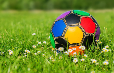 Colorful old football ball in flowers on the grass