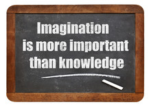 Imagination And Knowledge Quote
