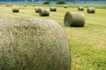 hay bale