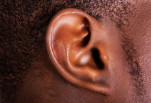 Black Male Ear