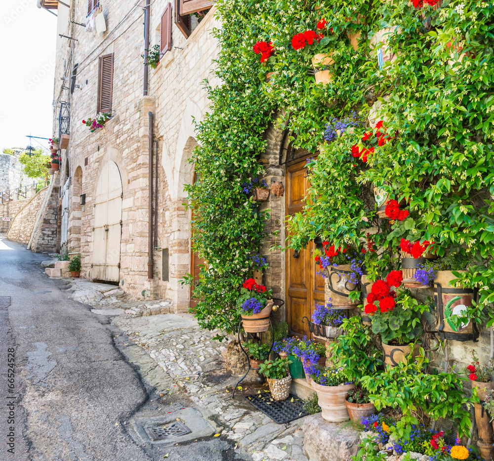 aleja-z-kwiatami-assisi