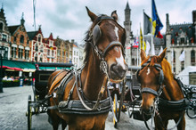 Horse-drawn Carriages In Bruges, Belgium