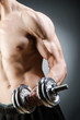 © Elnur - Muscular ripped bodybuilder with dumbbells