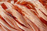 Fototapeta Tulipany - Copper wire