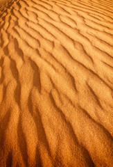  Sand dune background