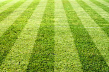 Wall Mural - Fussball Spielplatz