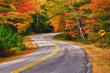 Wall Mural - winding road curves through autumn trees in new england