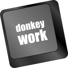 Poster - donkey work button on computer keyboard key