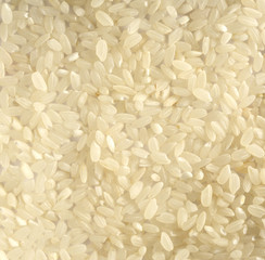 Wall Mural - White rice  background