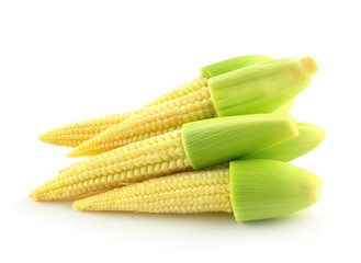 baby corn isolated on white background