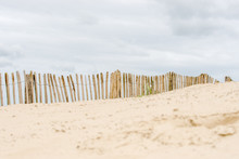 Dune Fence On The Beach