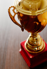 Wall Mural - gold trophy cup
