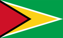 High Detailed Vector Flag Of Guyana
