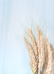 Wall Mural - Wheat ears on a wooden background.