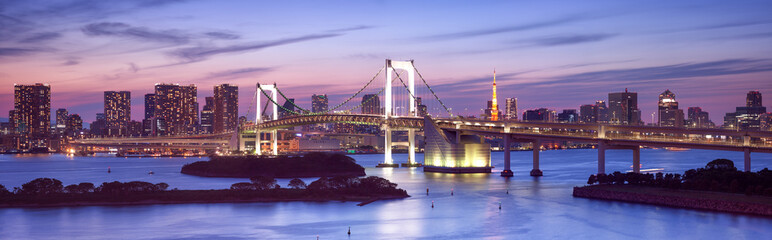 Fototapete - Rainbow Bridge in Odaiba Tokyo