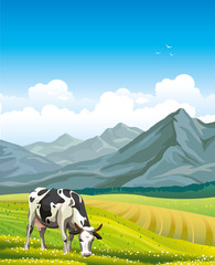 Poster - Cow and green meadow.